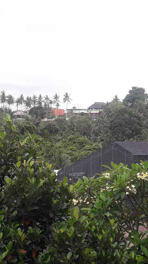 Waterfall Guest House 苏卡瓦提 外观 照片